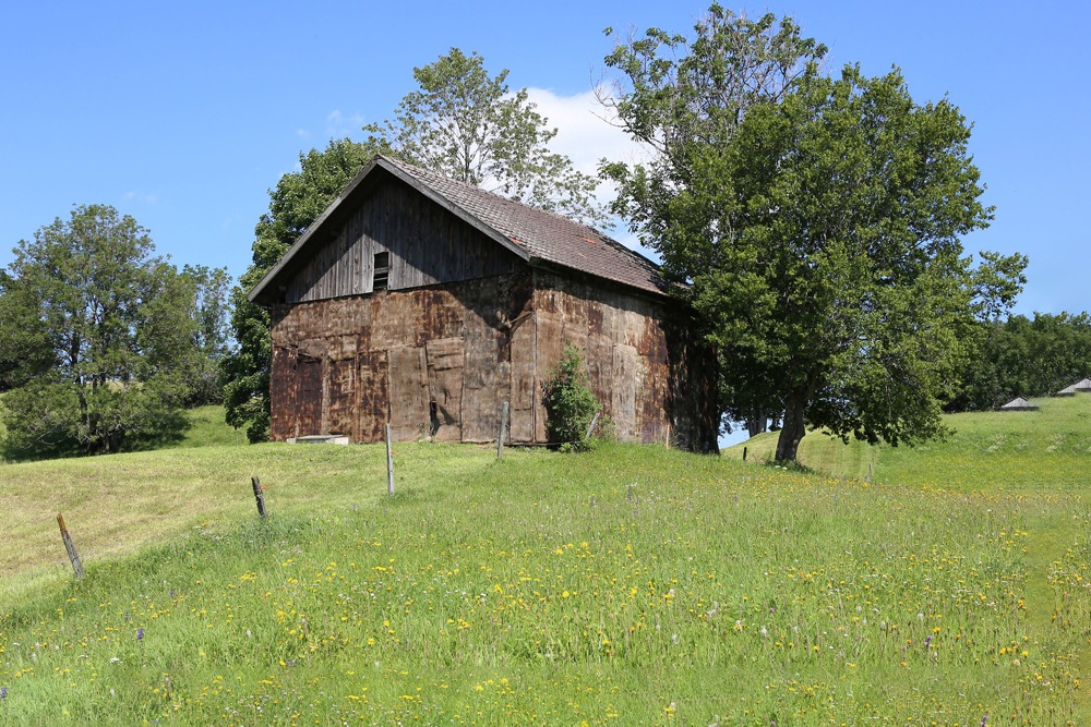 Shelterland – Panorama